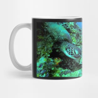 A Green Sea Turtle Mug